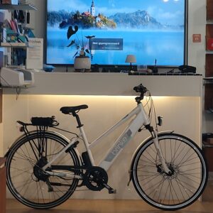 E-bike e-BRINKE met garantie