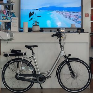 E-bike FREE BIKE met garantie